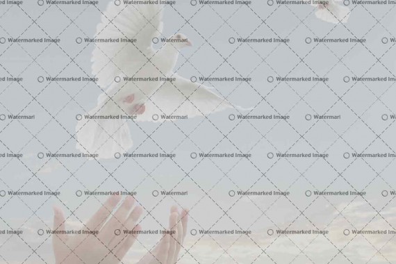 Lorem Ipsum Dolor Sit Amet